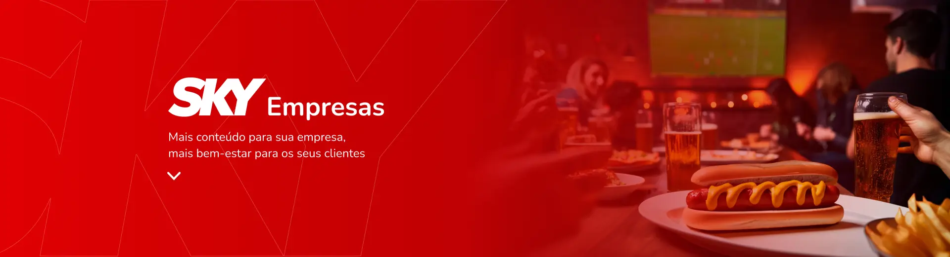 SKY-EMPRESAS